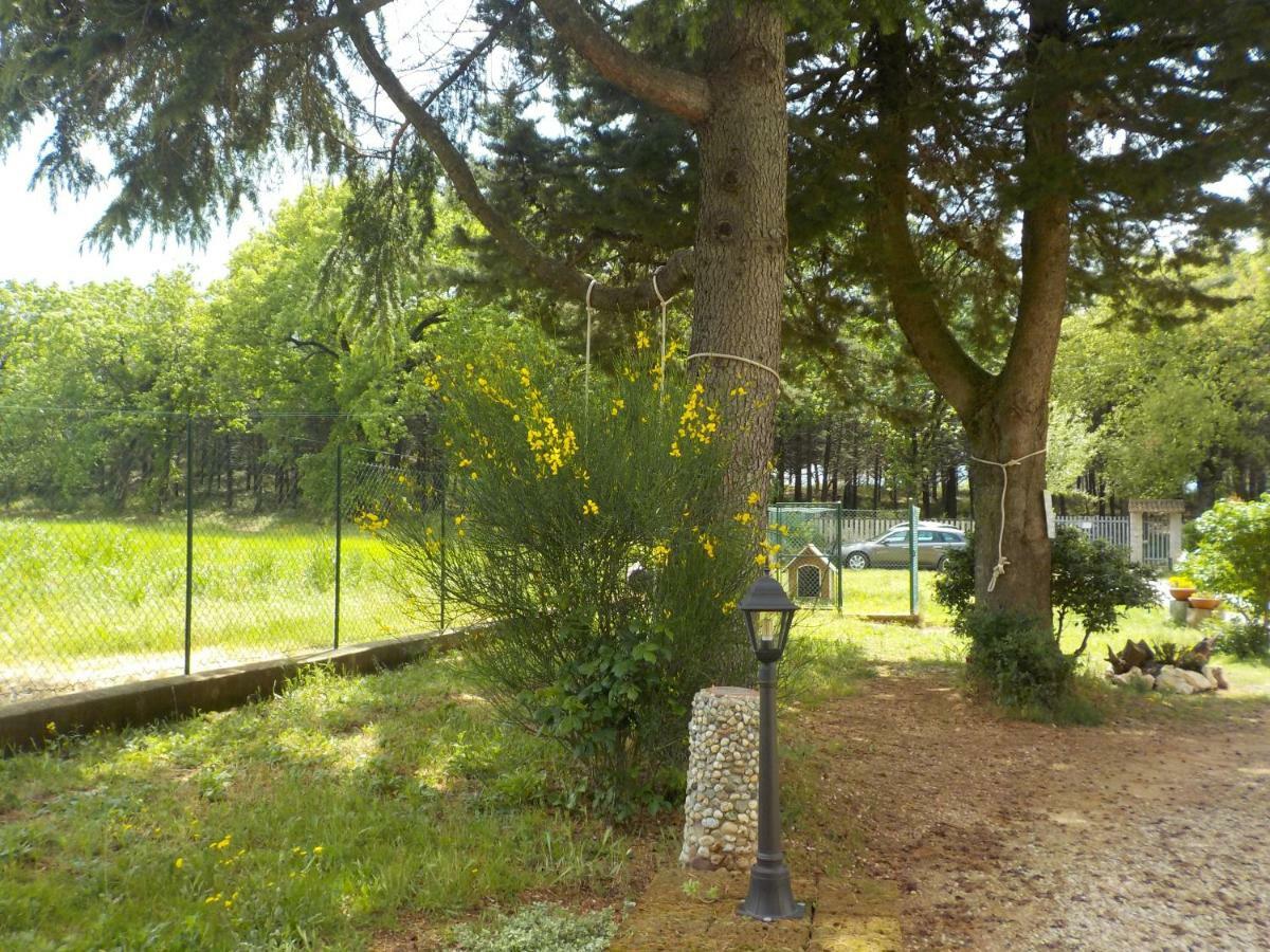 B&B Il Pizzagiallo Massa Martana Kültér fotó